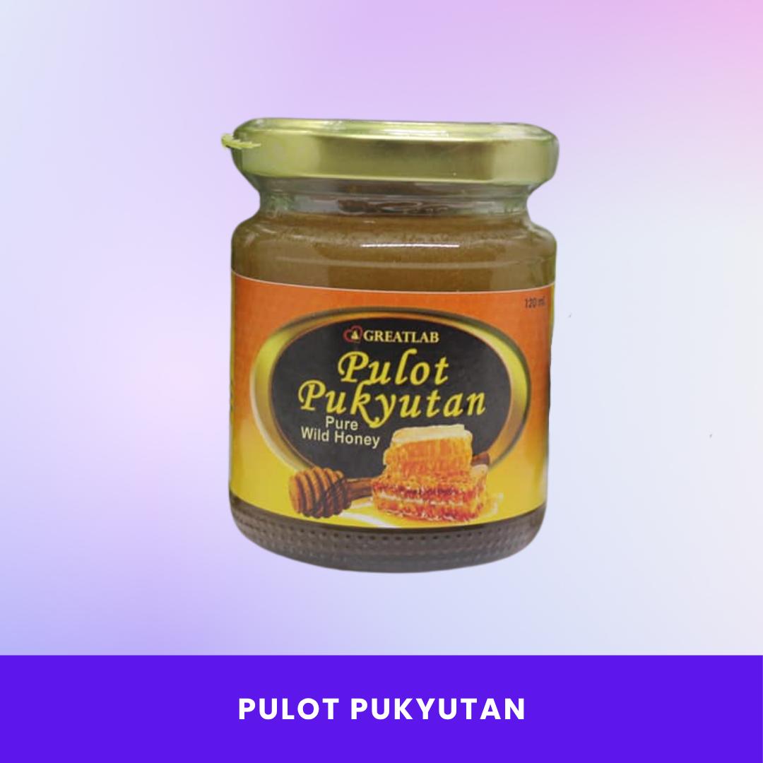 Greatlab Pulot Pukyutan Pure Wild Honey 120 mL | 100% Natural & Unprocessed | Rich in Antioxidants & Nutrients | Supports Immunity, Energy & Digestive Health | Sourced from Philippine Forests | Trusted by Filipino Families